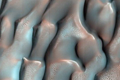 Dune Monitoring in Lyot Crater