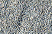 Amazonis Planitia Dust Devil Region