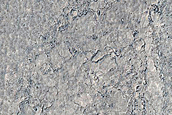 Lava-Draped Surface in Cerberus Palus