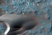 Dune Monitoring
