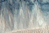 Gully Monitoring
