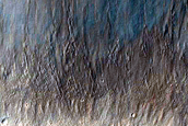 Crater Rim in Eastern Isidis Planitia