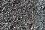 Fans and Landforms in Baltisk Crater