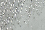 Possible Exposure of Layered Materials in Noachis Terra