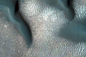 Dune Monitoring