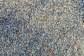 Crater in Utopia Region