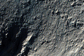 Gully Monitoring
