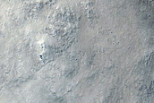 Nilosyrtis Region