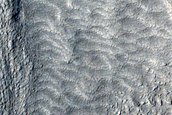 Tongue-Shaped Flow Feature in Protonilus Mensae