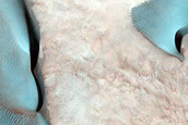 Dune Monitoring in Davies Crater