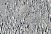 Nicholson Crater Ejecta