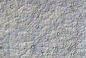 Monitoring Dust Devil Track Near Marte Vallis