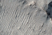 Morphologically Diverse Mound on Antoniadi Crater Floor
