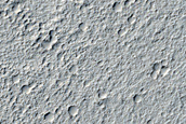 Elysium Planitia Sample