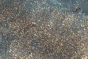 Light-Toned Layered Deposit along Noctis Labyrinthus Plateau