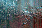 Gully Monitoring