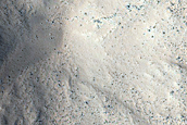 Gully Monitoring