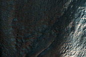 Monitor Frost in Gullies