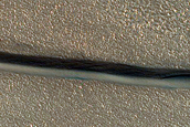 Dune Monitoring in Chasma Boreale