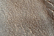 Dune Changes within Chasma Boreale