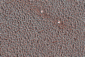 Ice-Filled Impact Crater Cluster