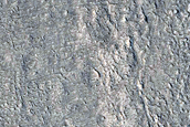 Sinuous Ridge in Tempe Terra