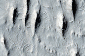 Raised Curvilinear Ridges