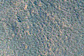 Pedestal Crater Near Phoenix Landing Site