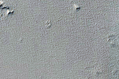 Candidate Recent Impact Site