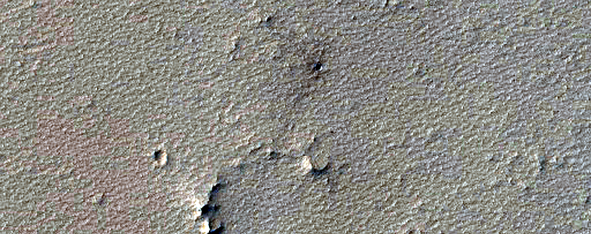 Monitoring Dust Devil Tracks in Noctis Labyrinthus