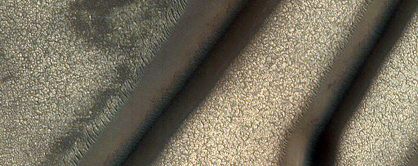 Scandia Cavi Edge Linear Dune Monitoring