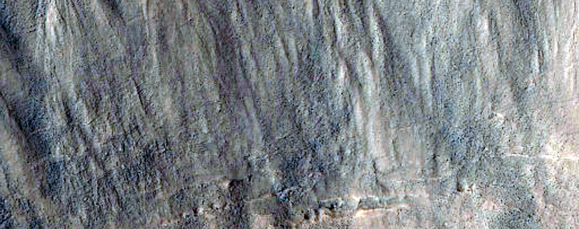 Monitoring Gullies in Mid-Latitude Crater