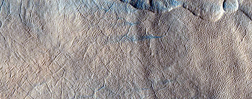 Utopia Planitia Scalloped Terrain