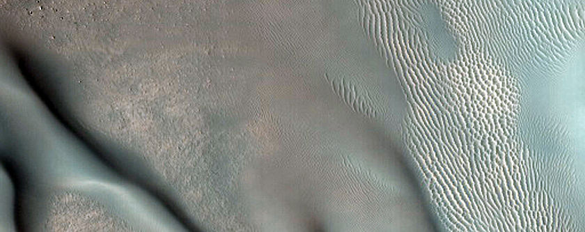 Dune Monitoring in Milankovic Crater