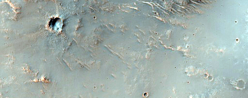 Possible Olivine-Rich Filled Crater