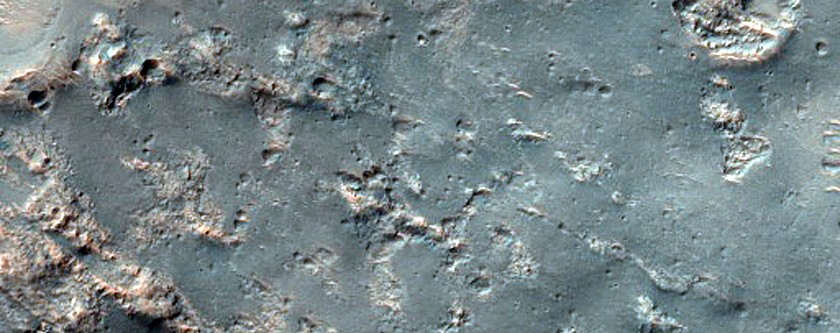Crater Floor with Diverse Units