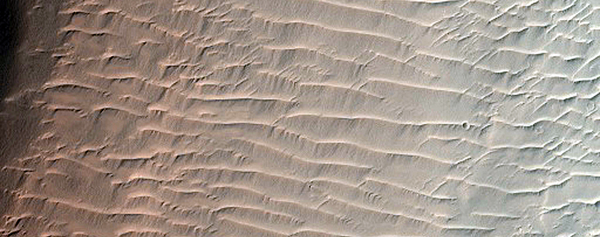 Bright Dust Devil Tracks over RSL in Eos Chasma