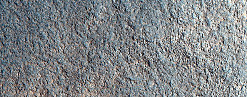 Gully with Polygons in Utopia Planitia