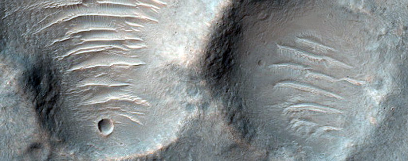 Terra Tyrrhena Crater Ejecta Phyllosilicates
