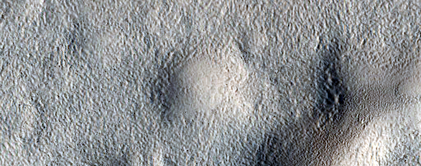 Flow-Like Feature within the Adamas Labyrinthus