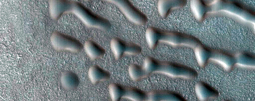 Dune Monitoring in Crater