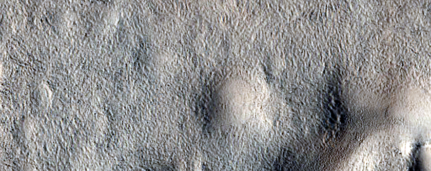 Flow-Like Feature within Adamas Labyrinthus