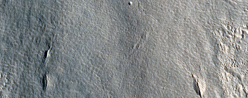 Dendritic Periglacial Terrain in Utopia Planitia