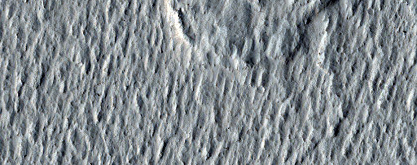 Lava Crust and Wakes in Amazonis Planitia