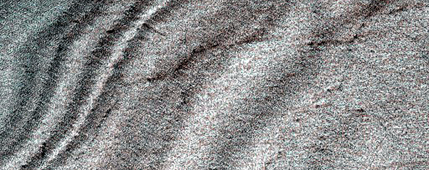 Spider Along Layers on Ejecta Blanket