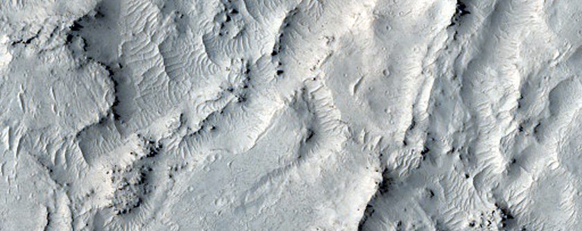 Hummocky Terrain in Western Elysium Planitia