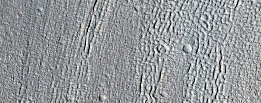 Crater and Ejecta in Utopia Planitia