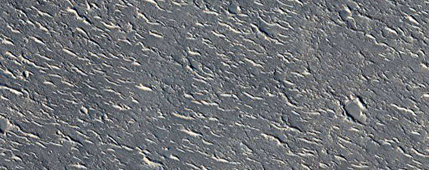 Sample in Utopia Planitia