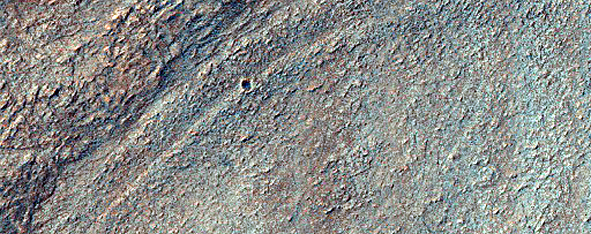 Ridge Networks in Hellas Planitia