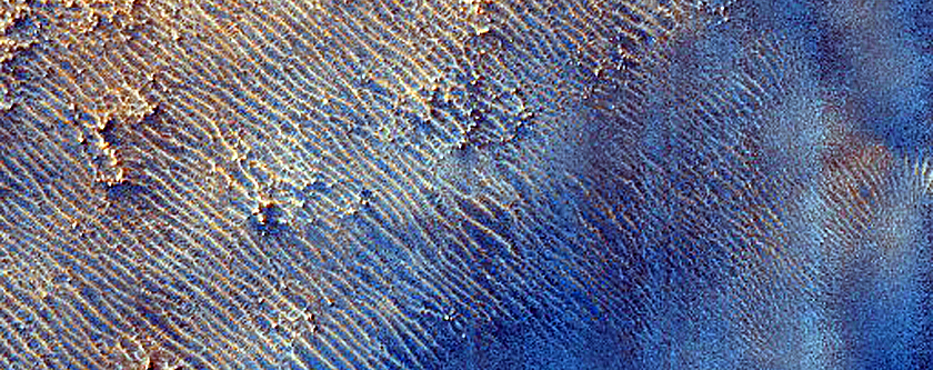 Dunes in Hellas Planitia